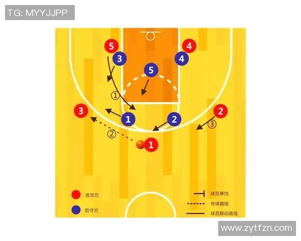 篮球技术与战术全解析 从基础技巧到进阶策略的全面提升指南