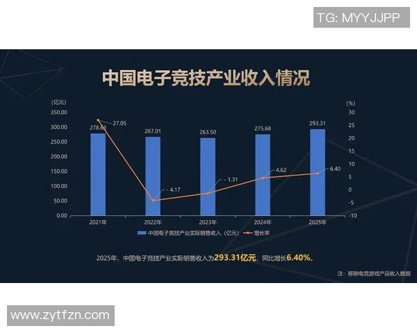 聚焦电竞职业联赛发展探讨数字竞技产业未来与青年文化融合路径